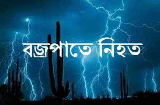 deshchitro-63482ee09b0a9-131022092936.webp