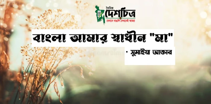deshchitro-639c9477afd11-161222095327.webp