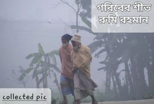deshchitro-63b7ab4a903a4-060123110202.webp
