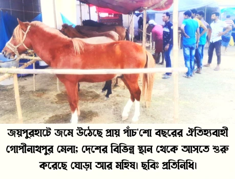 deshchitro-64088c15f1026-080323072229.webp