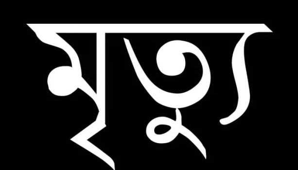 deshchitro-6479d6fc34431-020623054812.webp