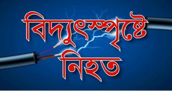 deshchitro-64c91a9549978-010823084541.webp