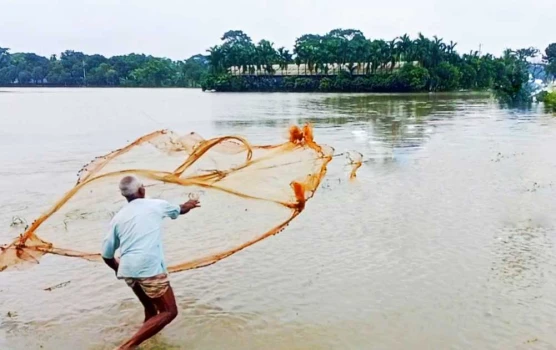 deshchitro-6523b0016a1bf-091023014713.webp