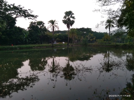 deshchitro-654f6db3d6d53-111123060403.webp