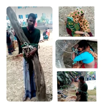 deshchitro-6570500ea678a-061223044222.webp