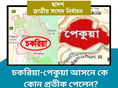 deshchitro-65801a1657bb1-181223040822.webp