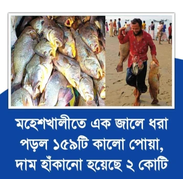 deshchitro-6585815cdfd46-221223063020.webp