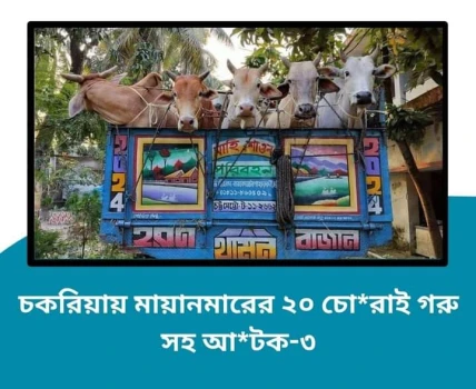 deshchitro-6586f16539191-231223084037.webp