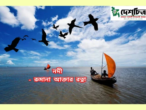 deshchitro-6587158341a9a-231223111443.webp