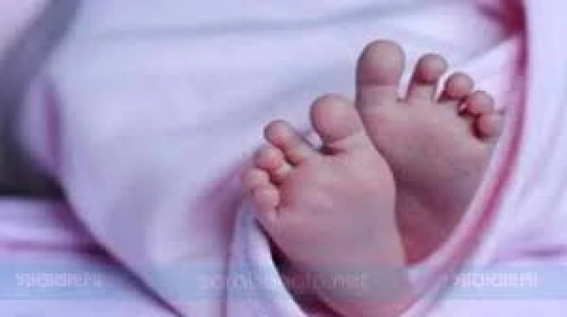 deshchitro-65aa31f0d0251-190124022520.webp