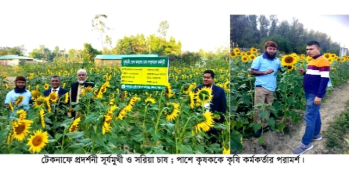 deshchitro-65ba25c96193e-310124044945.webp