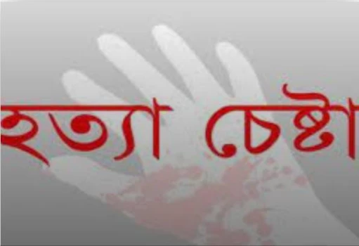deshchitro-65c0be6240c98-050224045426.webp