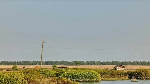 deshchitro-65c61417022b9-090224060127.webp