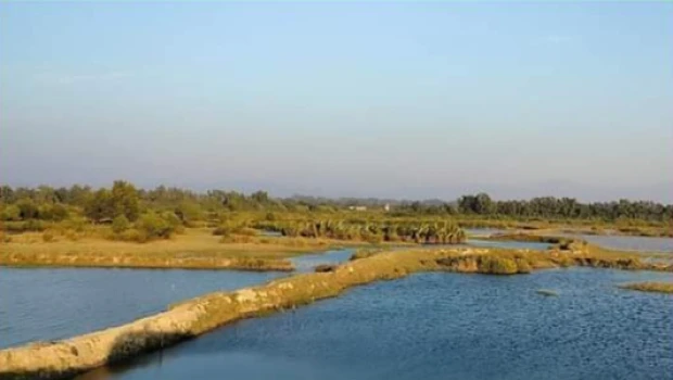 deshchitro-65c74e853b049-100224042301.webp