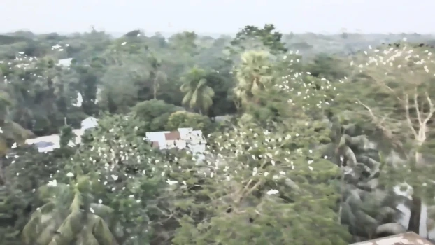 deshchitro-65c79d9ea3af3-100224100030.webp