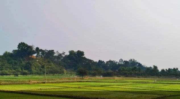 deshchitro-65dc9f4daac10-260224082517.webp