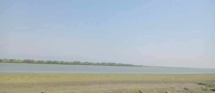 deshchitro-65f9842411e36-190324062508.webp