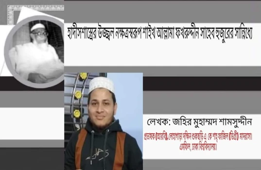 deshchitro-661648f95377a-100424020825.webp