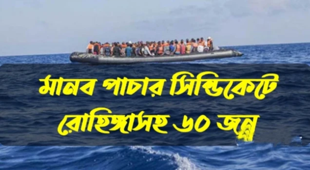 deshchitro-662f8242bc653-290424051930.webp