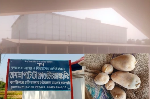 deshchitro-66323880311f9-010524064136.webp