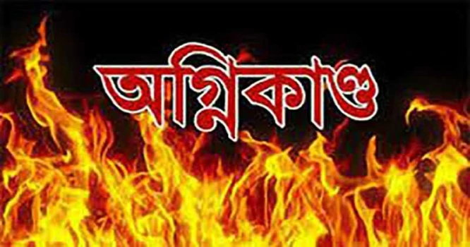 deshchitro-66977634abc3f-170724014348.webp