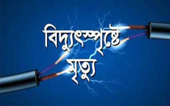deshchitro-671a1baf3de55-241024040431.webp