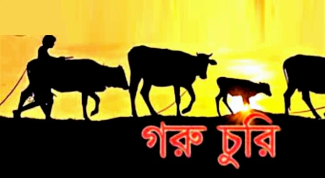 deshchitro-6720da710e13e-291024065201.webp