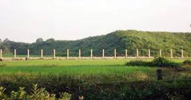 deshchitro-673358ce4f293-121124073158.webp