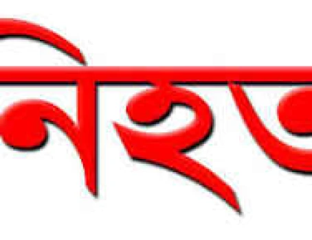 deshchitro-6749d20e663eb-291124083910.webp