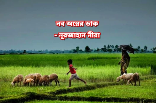 deshchitro-67509d4924c70-051224121953.webp