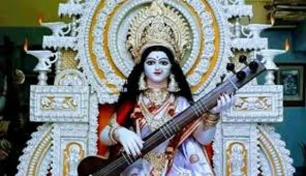 deshchitro-679f2417a6200-020225015151.webp