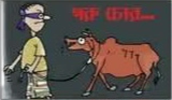 deshchitro-67c99b02d52da-060325065426.webp