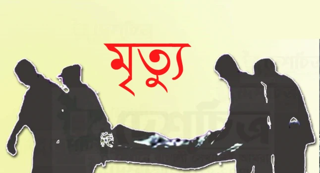 deshchitro-67cd824813db1-090325055800.webp