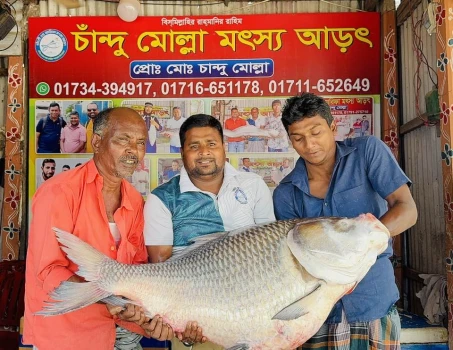 deshchitro-68175f22d3374-040525063546.webp