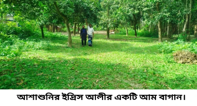 deshchitro-6831cb62531bf-240525073634.webp