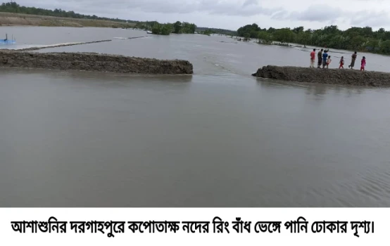 deshchitro-683717745d91b-280525080228.webp