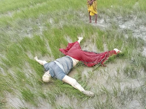 deshchitro-6840208546877-040625043133.webp