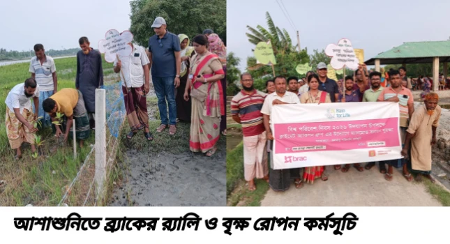 deshchitro-6a281da6211a8-090626080526.webp